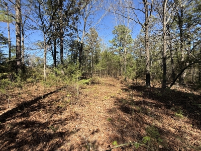 Remodeled Home And Land For Sale In Arkansas - image 30