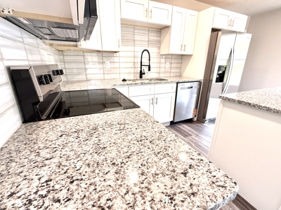 Remodeled Home And Land For Sale In Arkansas - image 7