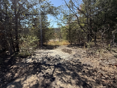 Remodeled Home And Land For Sale In Arkansas - image 40