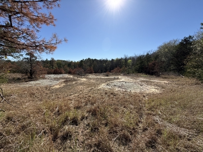 Remodeled Home And Land For Sale In Arkansas - image 4