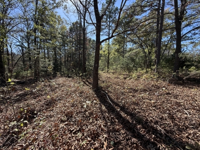 Remodeled Home And Land For Sale In Arkansas - image 37