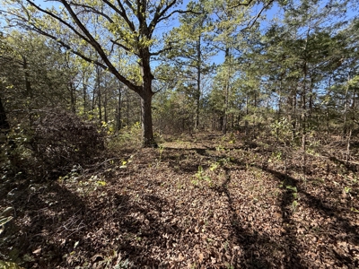 Remodeled Home And Land For Sale In Arkansas - image 38