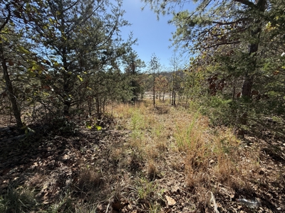 Remodeled Home And Land For Sale In Arkansas - image 39