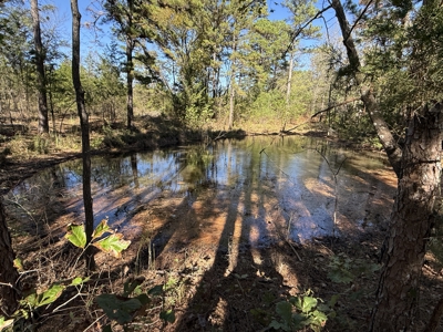 Remodeled Home And Land For Sale In Arkansas - image 31