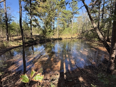 Remodeled Home And Land For Sale In Arkansas - image 2