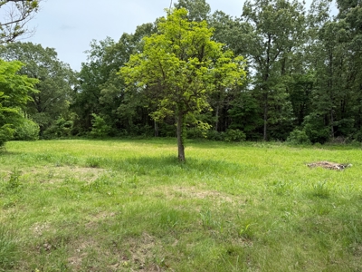 Remodeled Home And Land For Sale In Arkansas - image 24