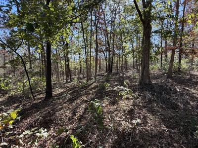 Remodeled Home And Land For Sale In Arkansas - image 32