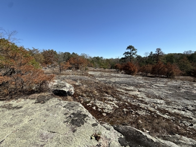 Remodeled Home And Land For Sale In Arkansas - image 3