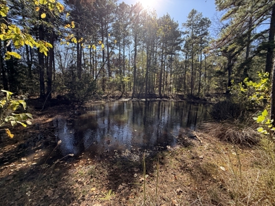 Remodeled Home And Land For Sale In Arkansas - image 36