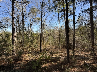 Remodeled Home And Land For Sale In Arkansas - image 34