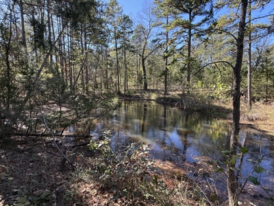 Remodeled Home And Land For Sale In Arkansas - image 35