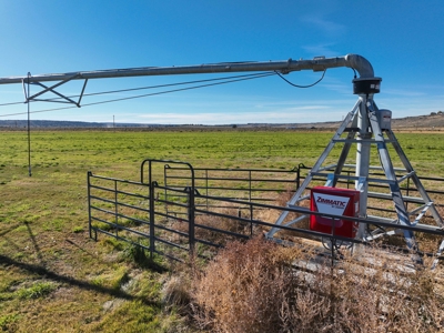 Eastern Oregon Lost Prairie Farm - image 43