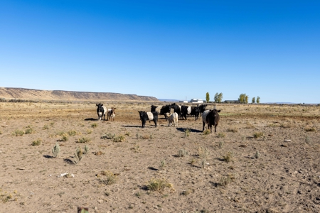 Eastern Oregon Lost Prairie Farm - image 38
