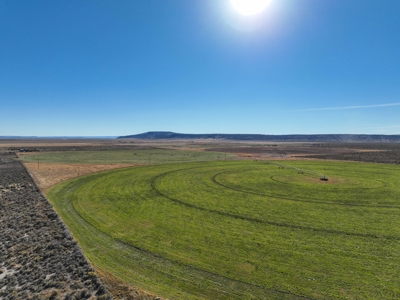Eastern Oregon Lost Prairie Farm - image 41