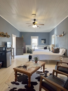 Airbnb For Sale Fort Stockton, TX Pecos Co. Turn-Key ready - image 8