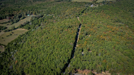 Ozarks 3 Bed/2 Bath Lake Life Retreat On A Small Acreage - image 13