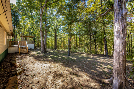 Ozarks 3 Bed/2 Bath Lake Life Retreat On A Small Acreage - image 5