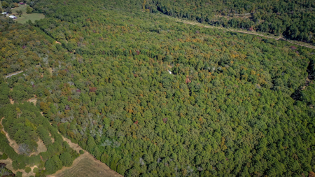 Ozarks 3 Bed/2 Bath Lake Life Retreat On A Small Acreage - image 17