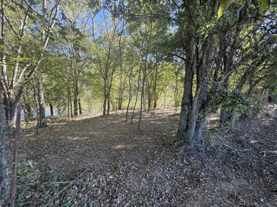 Riverfront Acreage For Sale In Arkansas Ozark Mountains - image 14
