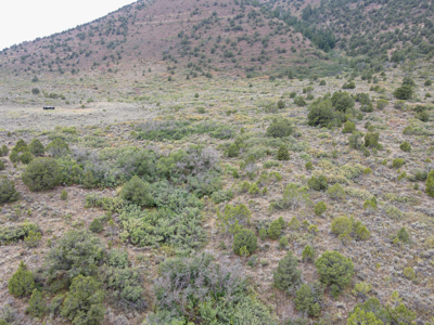 Hunting Land For Sale in Grand Junction, CO! - image 31