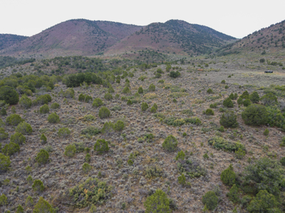 Hunting Land For Sale in Grand Junction, CO! - image 32