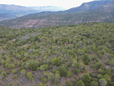 Hunting Land For Sale in Grand Junction, CO! - image 13