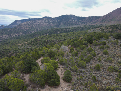 Hunting Land For Sale in Grand Junction, CO! - image 12
