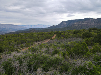 Hunting Land For Sale in Grand Junction, CO! - image 9