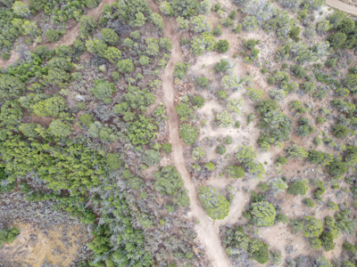 Hunting Land For Sale in Grand Junction, CO! - image 17