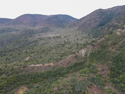 Hunting Land For Sale in Grand Junction, CO! - image 4