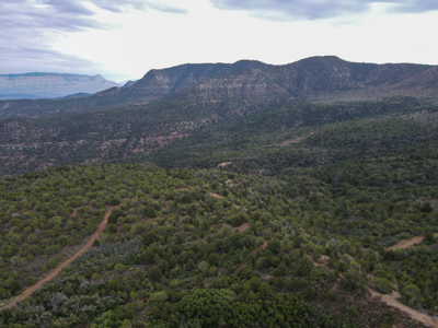 Hunting Land For Sale in Grand Junction, CO! - image 3
