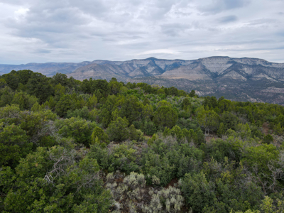 Hunting Land For Sale in Grand Junction, CO! - image 10