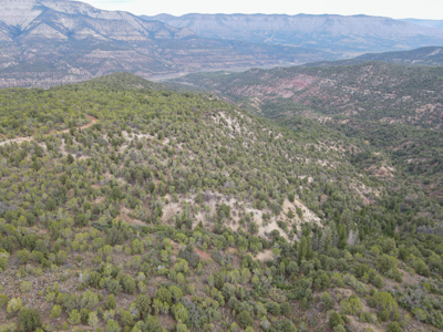 Hunting Land For Sale in Grand Junction, CO! - image 25