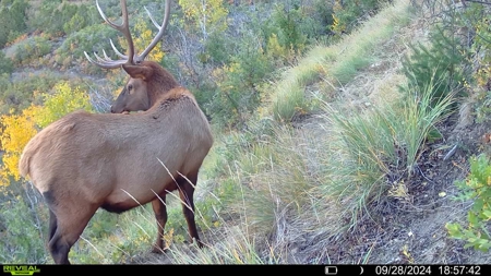 Hunting Land For Sale in Grand Junction, CO! - image 35