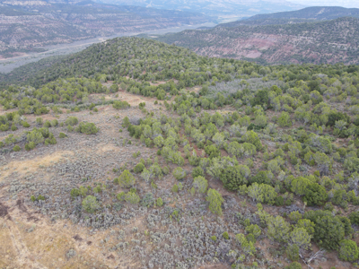 Hunting Land For Sale in Grand Junction, CO! - image 22