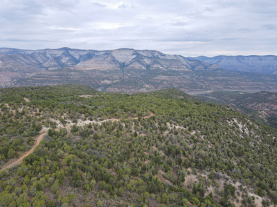 Hunting Land For Sale in Grand Junction, CO! - image 24