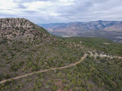 Hunting Land For Sale in Grand Junction, CO! - image 1