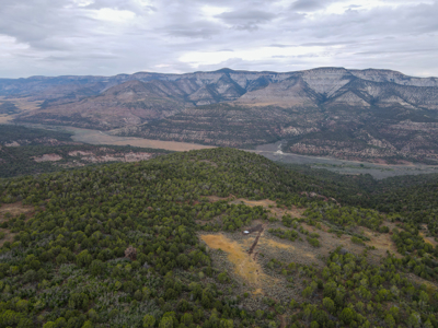 Hunting Land For Sale in Grand Junction, CO! - image 8
