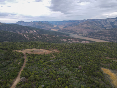 Hunting Land For Sale in Grand Junction, CO! - image 5