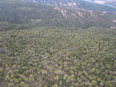 Hunting Land For Sale in Grand Junction, CO! - image 16