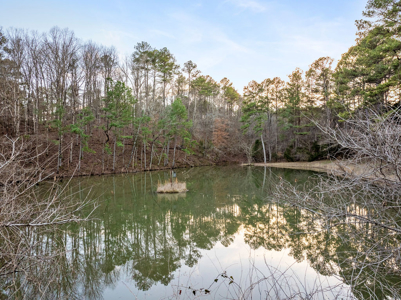 Red Cedar Log Home for Sale in Hayden, AL – 8.5± Acres with Pond - image 40