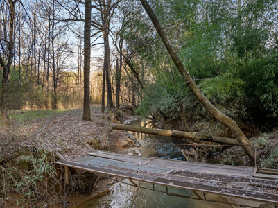 Red Cedar Log Home for Sale in Hayden, AL – 8.5± Acres with Pond - image 38