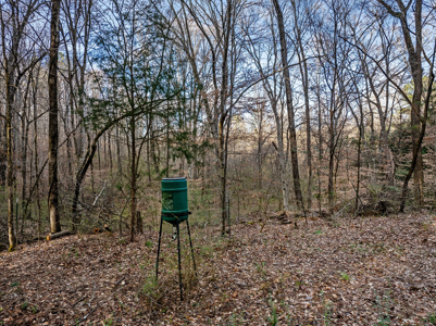 Red Cedar Log Home for Sale in Hayden, AL – 8.5± Acres with Pond - image 35