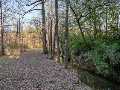 Red Cedar Log Home for Sale in Hayden, AL – 8.5± Acres with Pond - image 39
