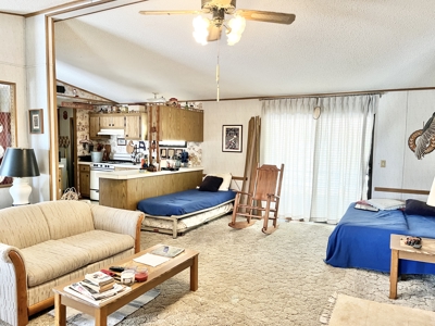 Country Home with Land for Sale in Salem, Missouri - image 9