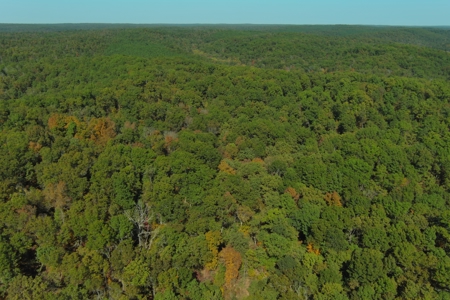 Country Home with Land for Sale in Salem, Missouri - image 23