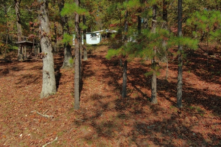 Country Home with Land for Sale in Salem, Missouri - image 26