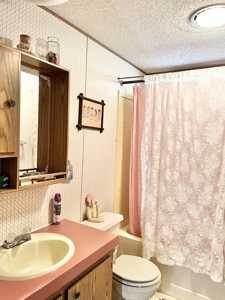 Country Home with Land for Sale in Salem, Missouri - image 19