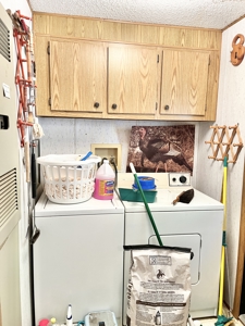 Country Home with Land for Sale in Salem, Missouri - image 21