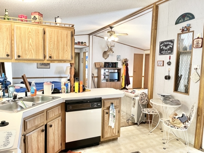 Country Home with Land for Sale in Salem, Missouri - image 11